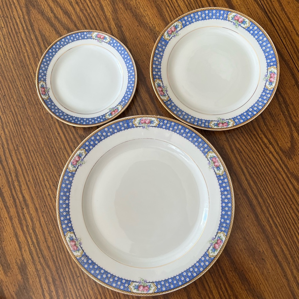 Blue Floral Rim Porcelain Dinner Plate Set